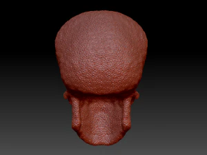 alien skull 3D Model