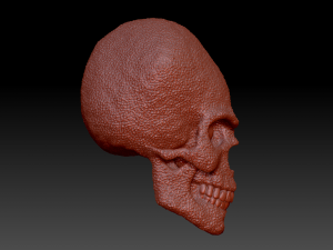 alien skull 3D 模型