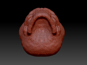 alien skull 3D 模型