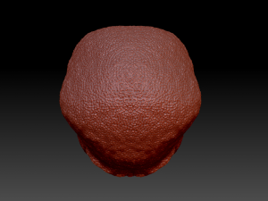 alien skull 3D 模型