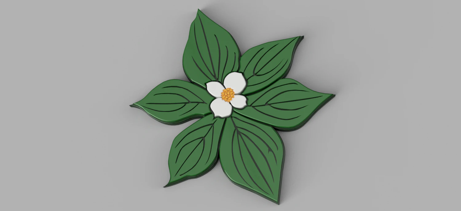 dogwood flower 3D Model .c4d .max .obj .3ds .fbx .stl .blend 
