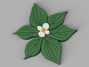 dogwood flower Modèle 3D