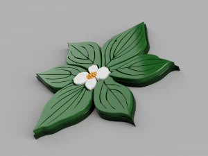 dogwood flower 3D Model