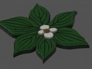dogwood flower Modello 3D