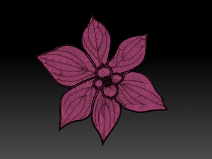 dogwood flower Modello 3D