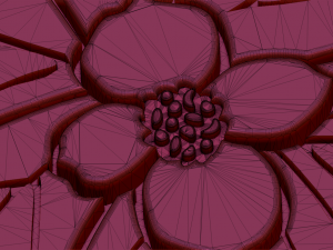 dogwood flower Modello 3D