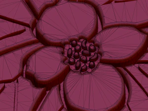 dogwood flower 3D Model