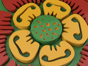 flower Modelo 3D