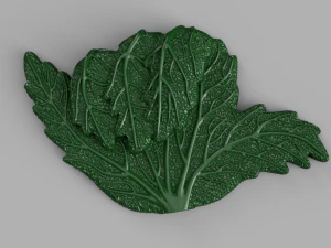shaka marijuana leaf 3D Model