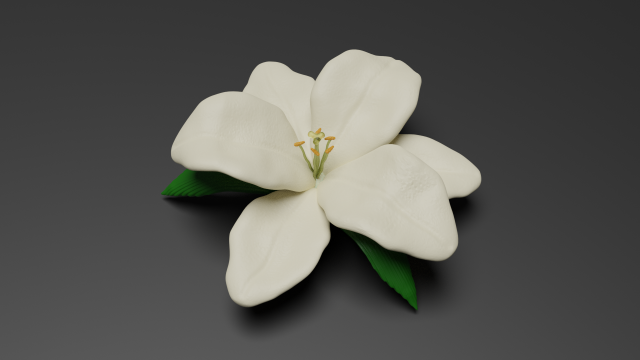lilium 3D Model .c4d .max .obj .3ds .fbx .stl .blend 