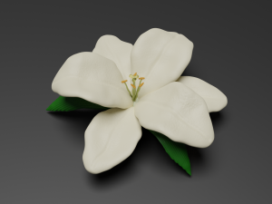 lilium 3D Model