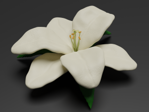 lilium 3D Model