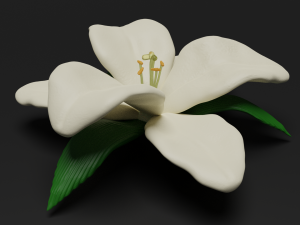 lilium 3D Model