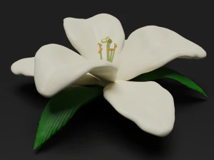 lilium 3D Model