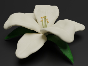 lilium 3D Model