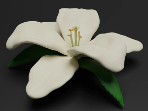 lilium 3D Model