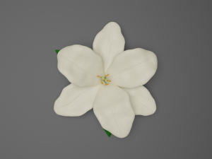 lilium 3D Model