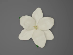lilium 3D Model