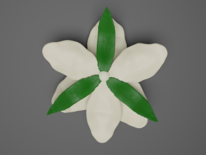 lilium 3D Model