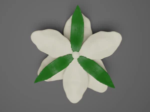 lilium 3D Model