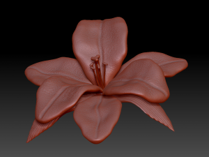 lilium 3D Model