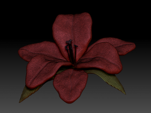 lilium 3D Model