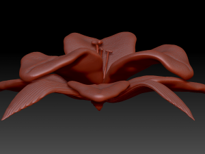 lilium 3D Model