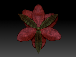 lilium 3D Model