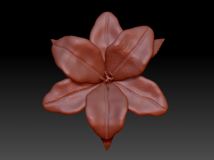lilium 3D Model