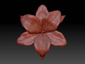 lilium 3D Model