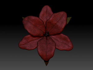 lilium 3D Model