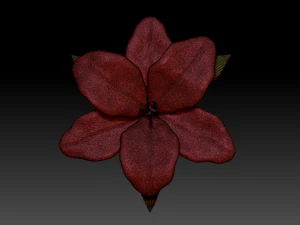 lilium 3D Model