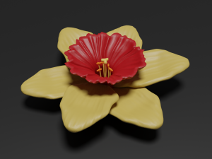 narcissus 3Dモデル