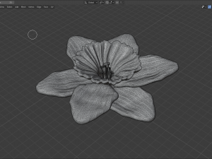 narcissus 3D Модель
