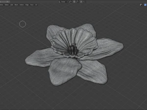narcissus 3D Model
