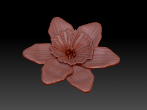 narcissus 3D Модель