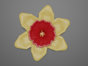 narcissus 3D Модель