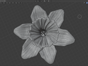 narcissus 3D Модель