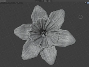 narcissus 3D Model