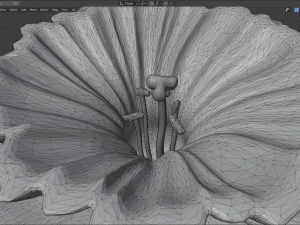 narcissus 3D Модель