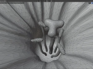 narcissus 3D Model