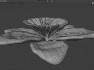 narcissus 3D Модель