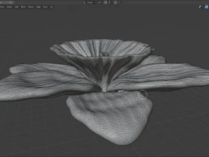 narcissus 3D Model