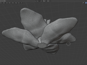 narcissus 3D Модель