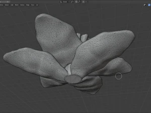 narcissus 3D Model