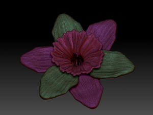 narcissus 3D Модель