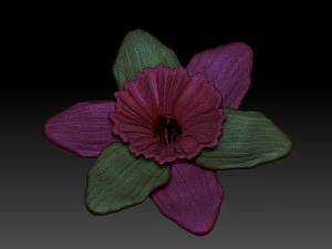 narcissus 3D Model