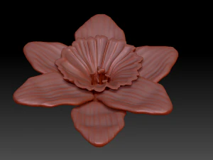 narcissus 3D Model