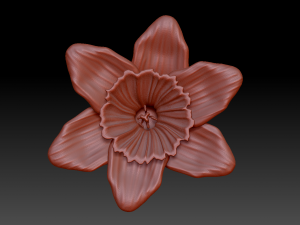 narcissus 3D Модель
