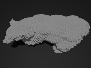 voxel bear 3Dプリントモデル